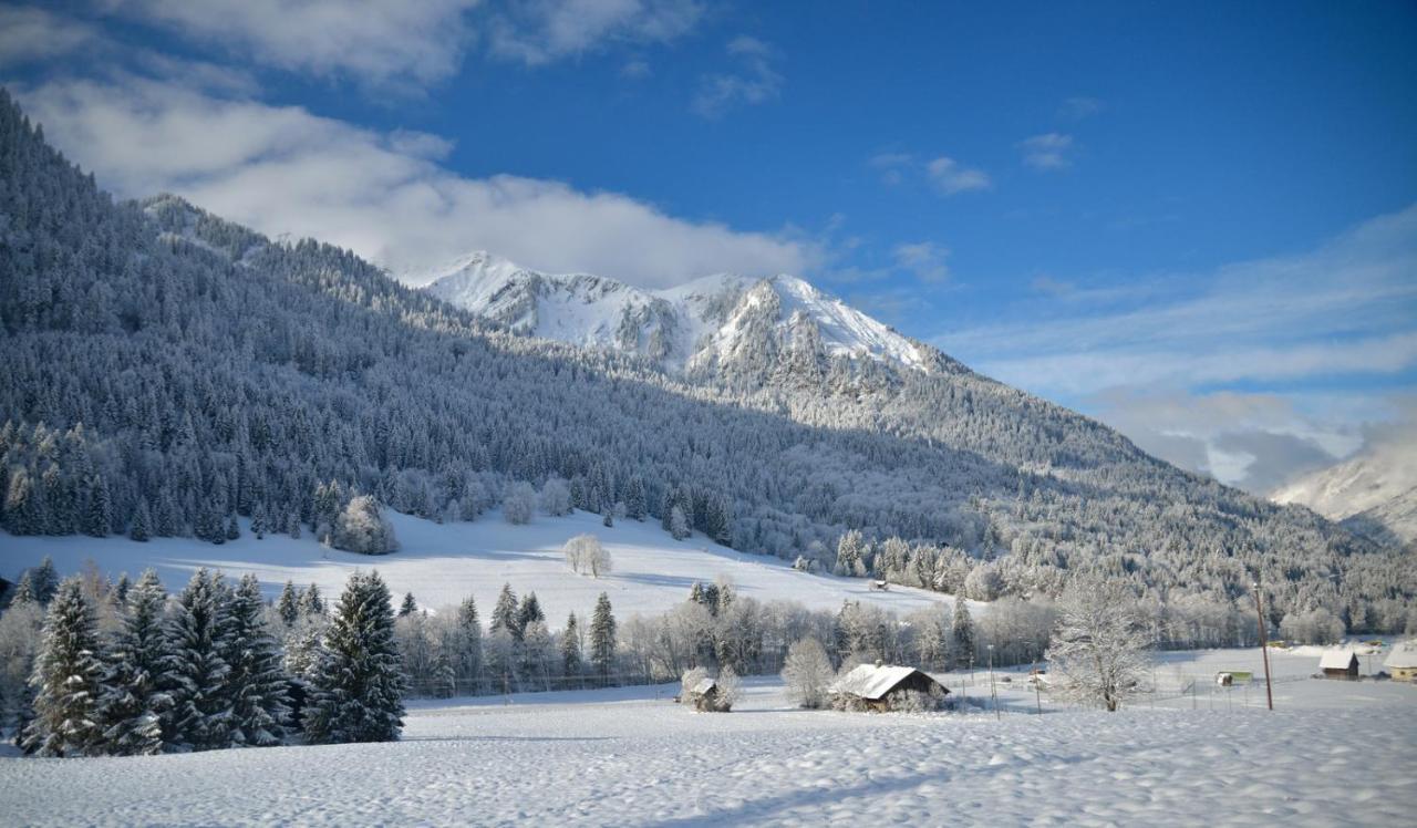 Chalet Cannelle Bed & Breakfast Chatel Exterior photo